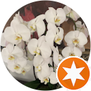 LISA LOWTH profile picture